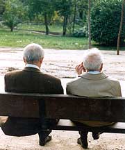 Una rosa es una rosa II